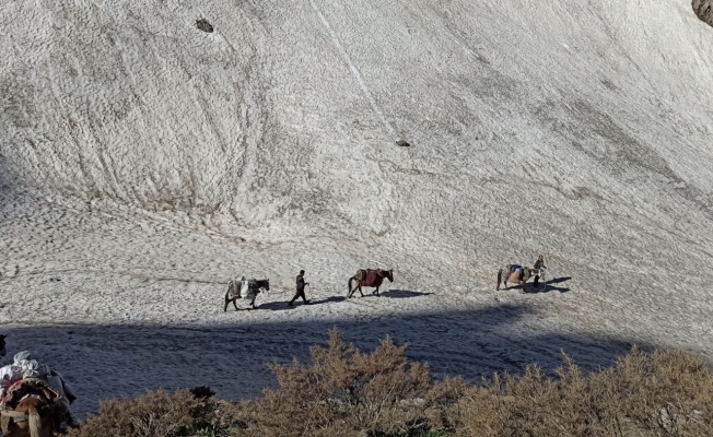 Beyaz ve yeşilin buluştuğu Şırnak yaylalarında kartpostallık görüntüler oluştu