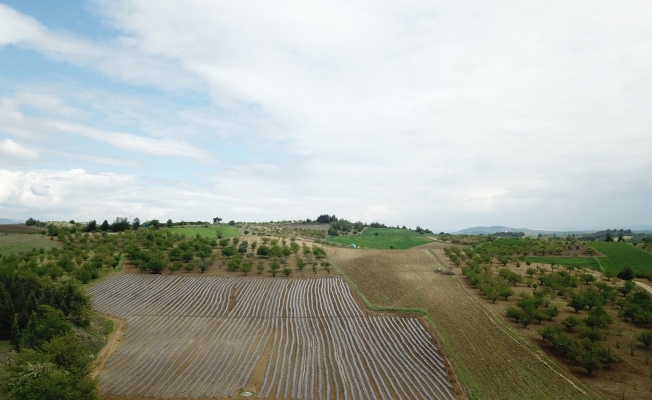 Bilecik’de sulama sezonu başladı