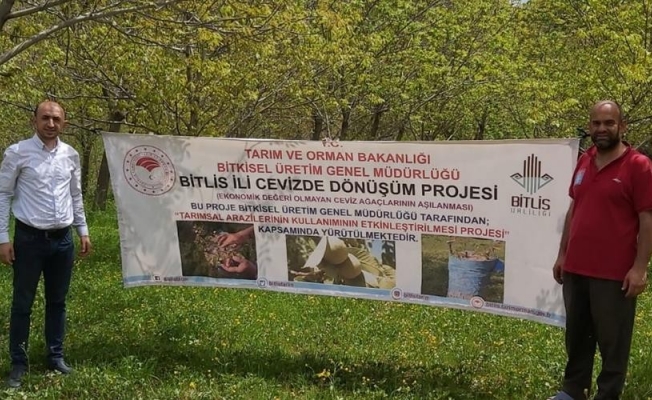 Bitlis’te ‘Cevizde Dönüşüm’ projesi başlatıldı