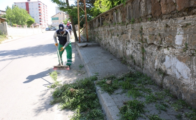 Bitlis’te yabani ot temizliği