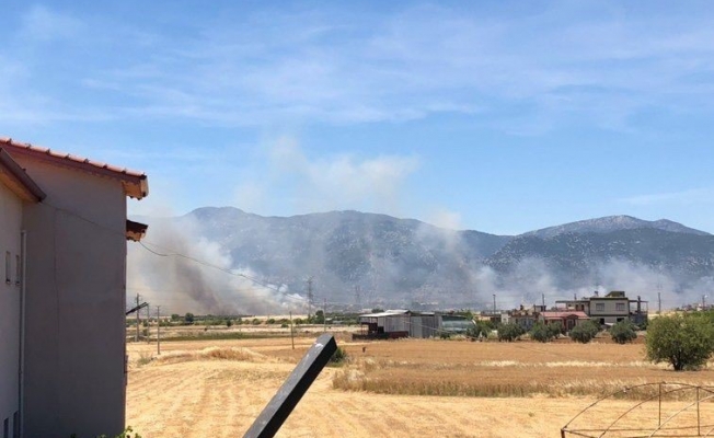 Buğday tarlasında çıkan yangın 30 dönümden fazla ekili alanı küle çevirdi