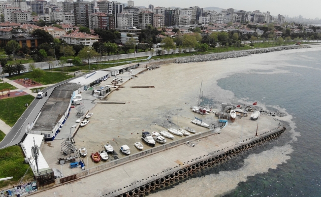 Caddebostan Sahili’nde deniz salyası tedirginliği artarak devam ediyor