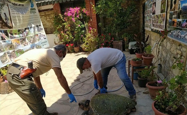 ’Corona Yeter’ bu defa kurtarılamadı