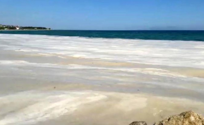 Deniz salyaları mavi bayraklı sahili beyaza çevirdi