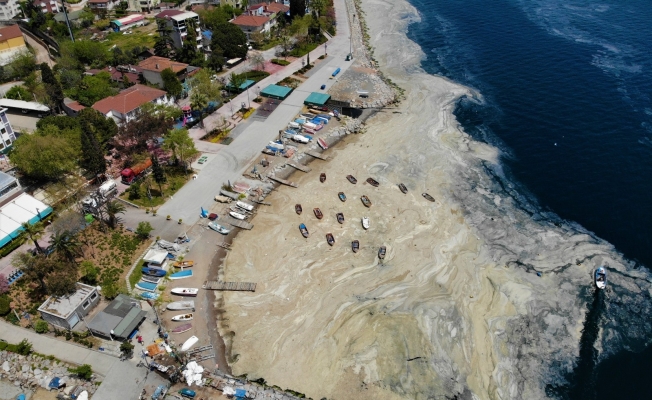 Deniz salyası bu kez Körfez’i tamamen kapladı
