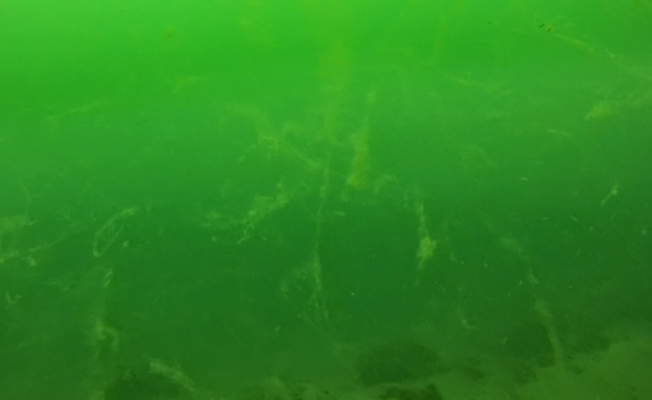 Deniz salyası su altını da tehdit ediyor