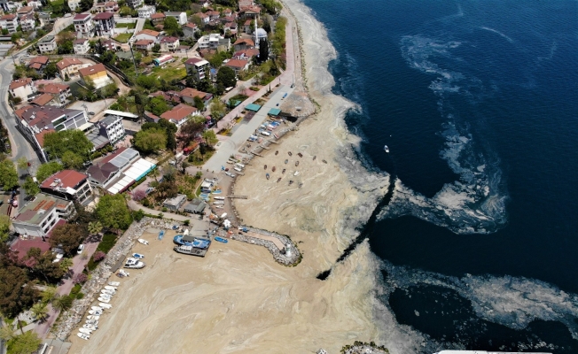 Deniz salyasını arındırmak için temizlik çalışması yapılıyor