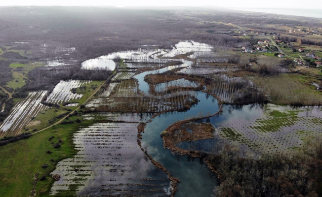 Dünyada ikinci, Türkiye’de ise tek parça halindeki en büyük longoz