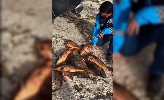 Eğirdir Gölü’nde av yasağına rağmen katliam