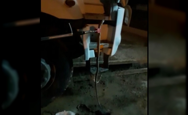 Elazığ’da kamyonun kabininden yılan çıktı