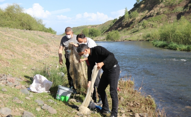 Erciş’te kaçak avlanılan canlı inci kefalleri suya geri bırakıldı