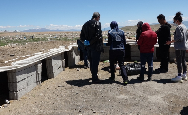 Erciş’te sokak hayvanları için alanlara mama ve su bırakıldı