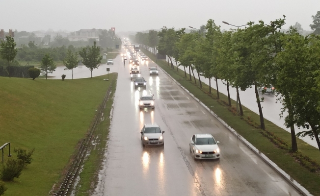 Filistin için tek yürek oldular