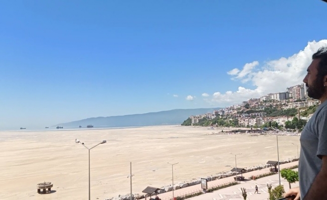 Gemlik körfezinde salya istilası