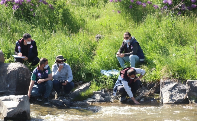 Göç yolunda oksijensiz kalan balıklar için can suyu takviyesi