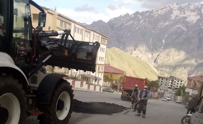 Hakkari’de yol onarım çalışması