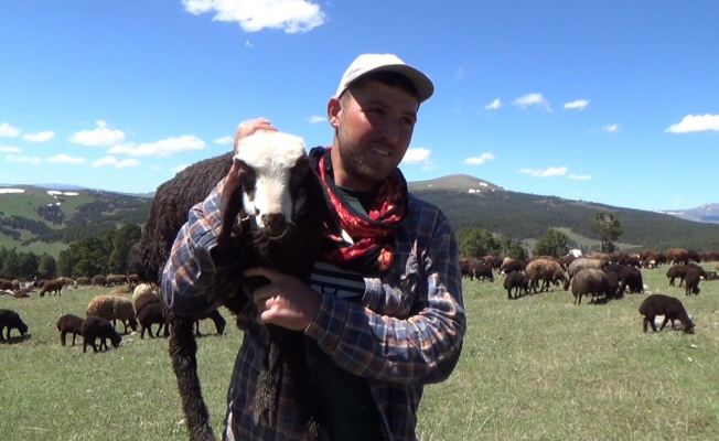 Iğdır’dan Sarıkamış’a göçerlerin zorlu yayla yolculuğu