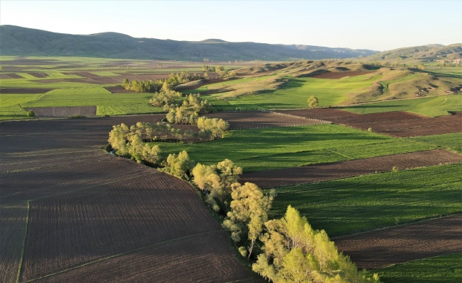 İlkbaharla renk cümbüşüne bürünen ağaçlar görenleri cezbediyor