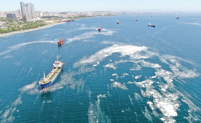 İstanbul sahillerini istila eden deniz salyalarında yoğunluk arttı