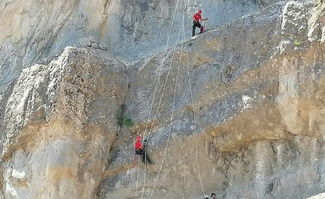 Kahramanmaraş’ta kayalıkta mahsur kalan hayvanları JAK timleri kurtardı