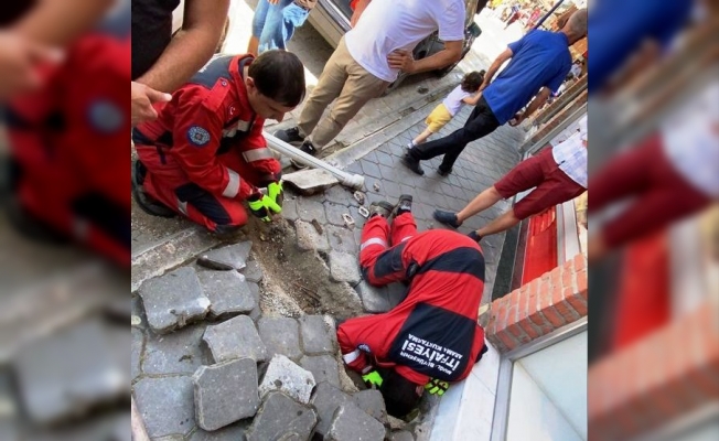 Kedinin yardımına itfaiye ekipleri yetişti