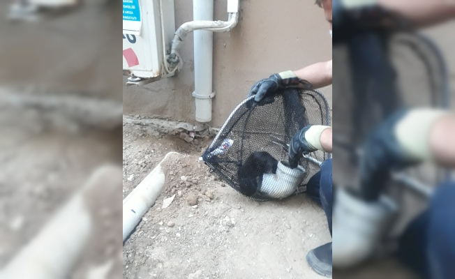 Kırklareli’nde yağmur suyu tahliye borusunda mahsur kalan yavru kedi kurtarıldı