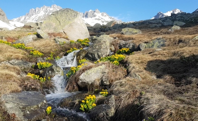 Macahel’de eriyen karlar kartpostallık görüntüler oluşturdu