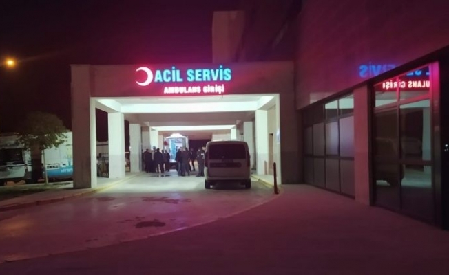 Mardin’de hayvan otlatma kavgası: 1 yaralı