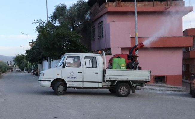 Nazilli Belediyesi vektörle mücadele çalışmalarında hız kesmiyor