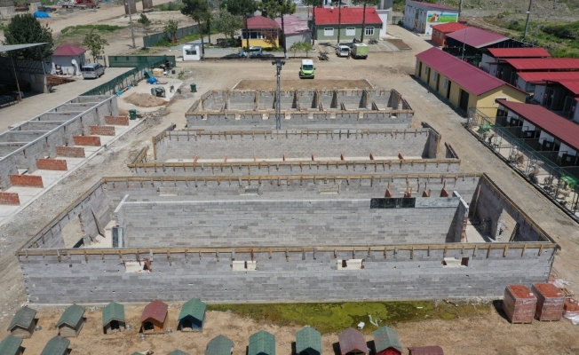 Ordu’da hayvanlar için modern hastane