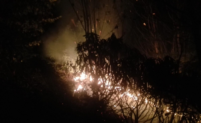Ordu’da ormanlık alandaki yangına müdahale sürüyor