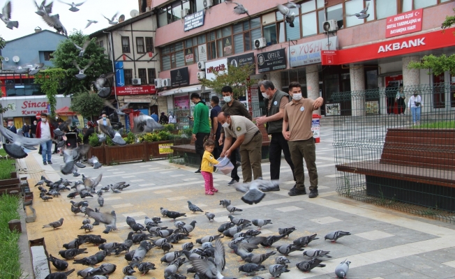 Orman Bölge Müdürlüğü ekipleri Devrek’te kuşları yemledi