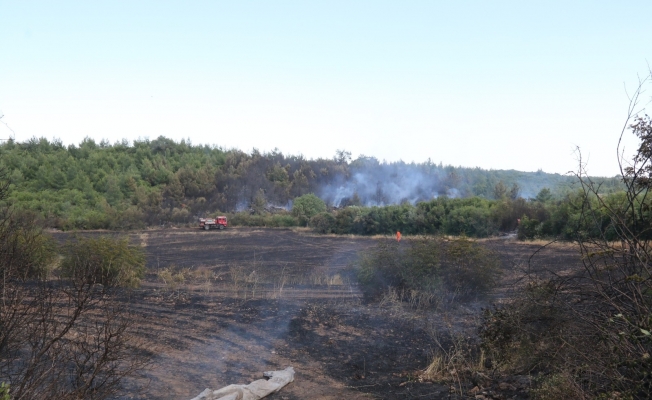 Ormanlık alanda çıkan yangın 10 dönüm arpa ekili alanı küle çevirdi