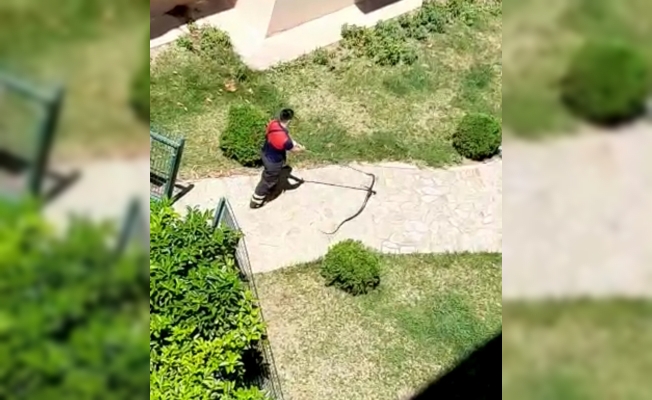 Osmaniye’de çocuk parkında yılan paniği