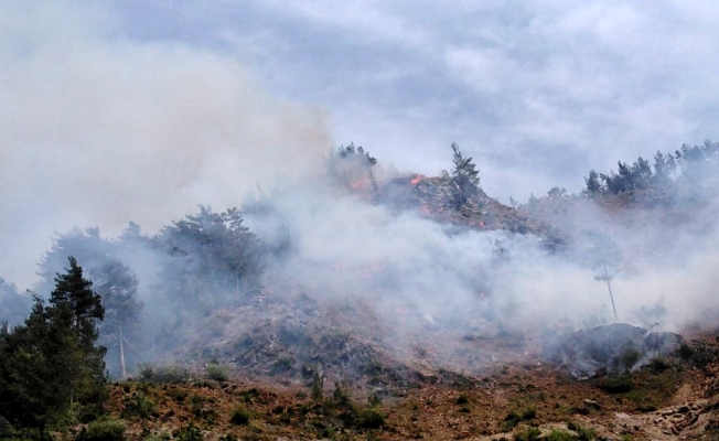 Osmaniye’de orman yangını