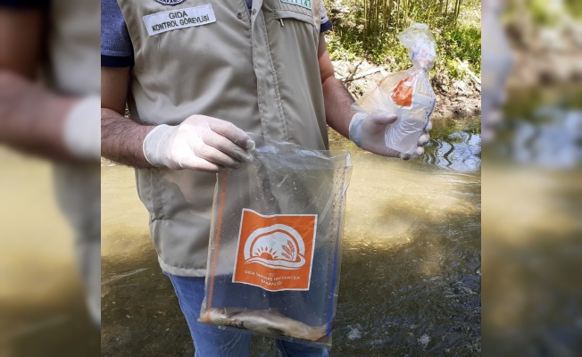 Osmaniye’de toplu balık ölümlerine inceleme başlatıldı