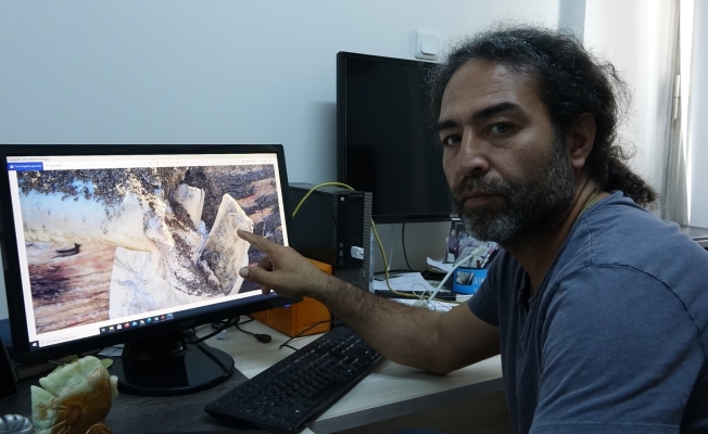 (Özel) Dev balina gemi çarpması sonucu ölmüş