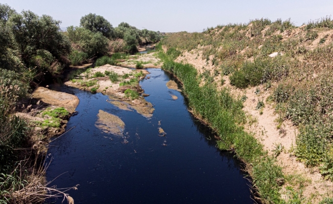 (Özel) İşletme atıkları Alaşehir Çayı’nı siyaha boyadı