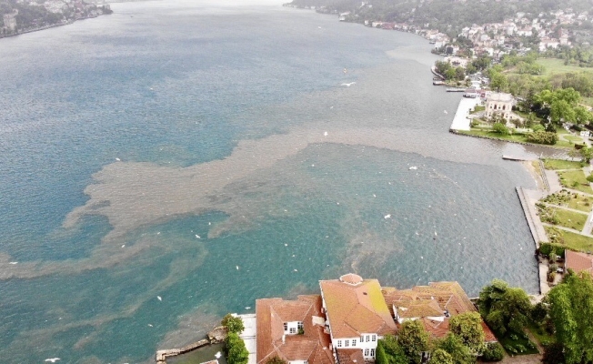 (Özel) İstanbul Boğazı’nda suyun rengi değişti, çamura bulandı