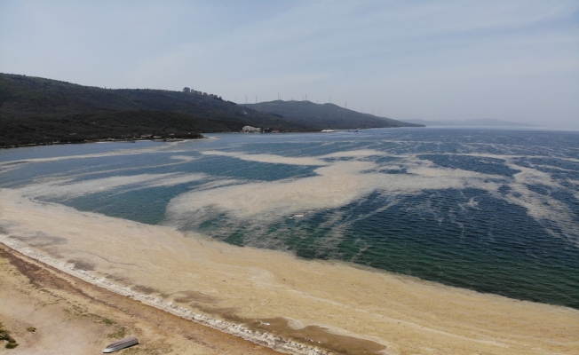 (Özel) Marmara’da denizin dibi zindana döndü