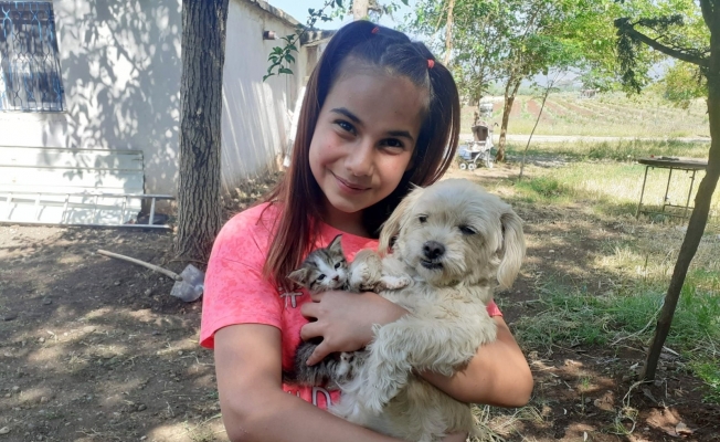 Pamuk adlı köpek emzirdiği yavru kediye annelik yapıyor