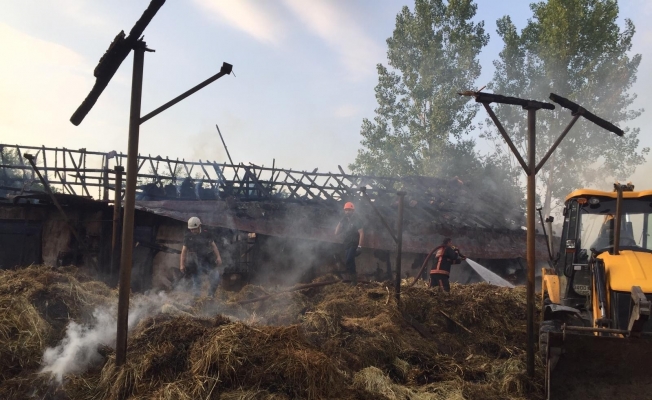 Sakarya’da çiftlikte yangın: 4 büyükbaş hayvan telef oldu, yüzlerce saman yandı