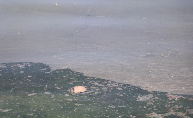 Samsun Limanı’nda tedirgin eden kirlilik: Gözler gemilerde