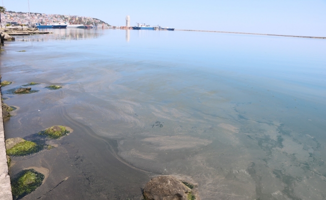 Samsun Limanı’ndaki kirlilik büyüyor