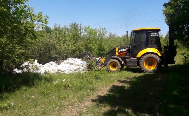 Sapanca Gölü kıyısındaki ormana dökülen atıklar temizlendi