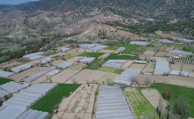 Sera bitkisel atıklarından ayda 6 bin kilogram organik gübre elde edilecek