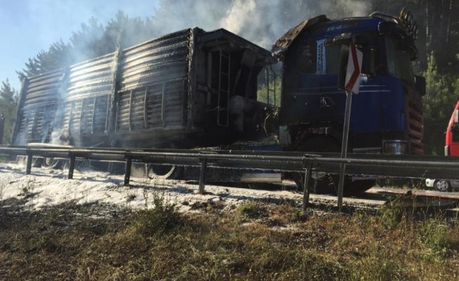 Seyir halindeyken lastiği patlayan tır alev alev yandı