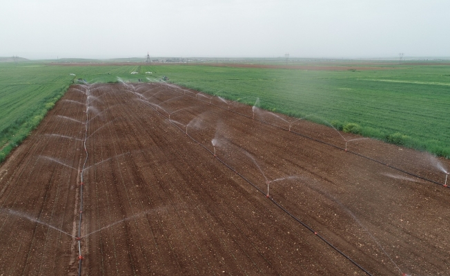 Şırnak’ta 2021 yılı sulama sezonu başladı