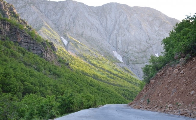 Şırnak’ta karlar eridi doğa yeşile büründü