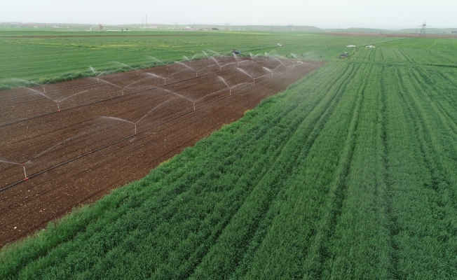 Şırnak’ta sulama sezonu başladı